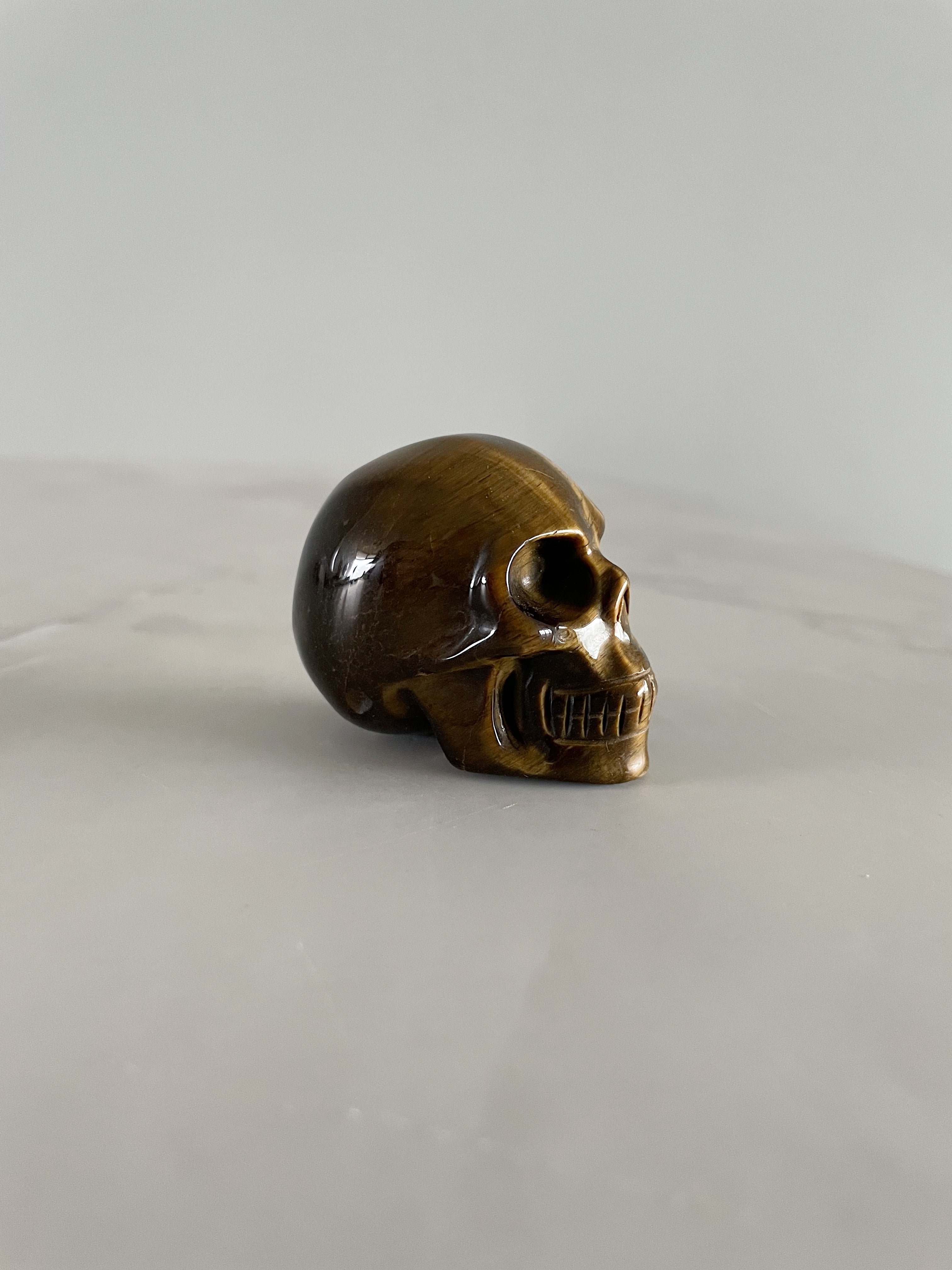 Tijgeroog skull
